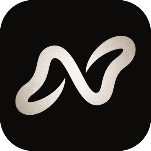 Noiz logo