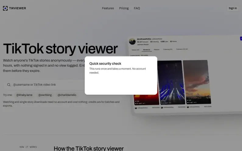 Screenshot of the TikViewer homepage